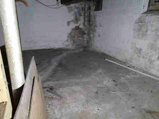 Testing again(12).jpg